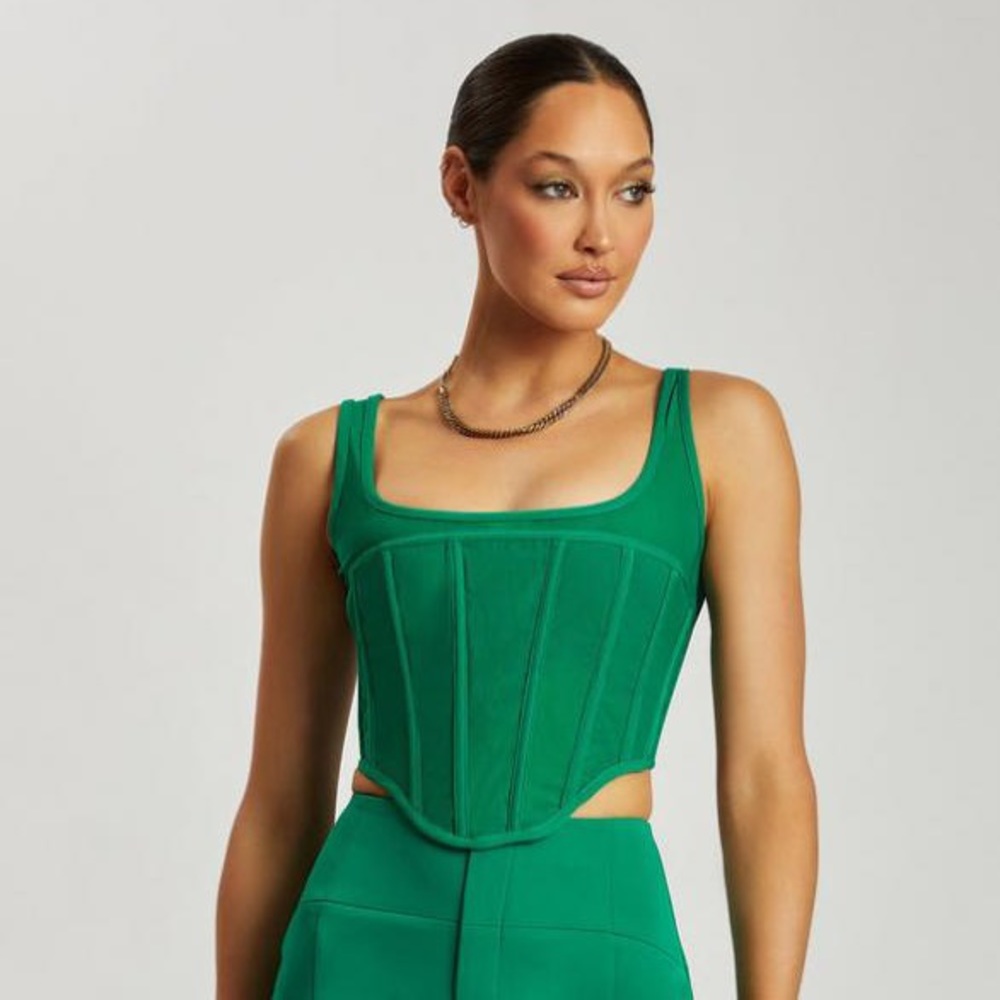 NWT Meshki Delaney Corset (XS)